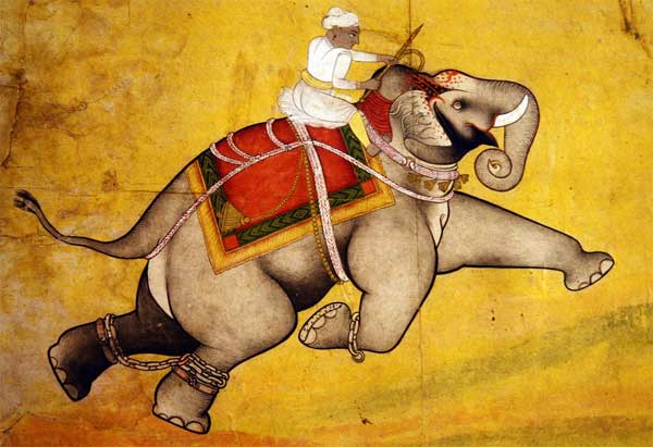 Боевые слоны (3): как воспитать боевого слона? - Proshloe