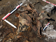 Гробница скифских «амазонок» была найдена под Воронежем