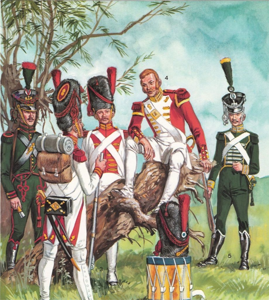 Гренадерская рота. Легкая пехота Вестфалии 1812. Пешие гренадеры 1812. Пехота Вестфалии 1812 года. Егеря императорской гвардии Наполеона.